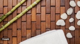 bamboo