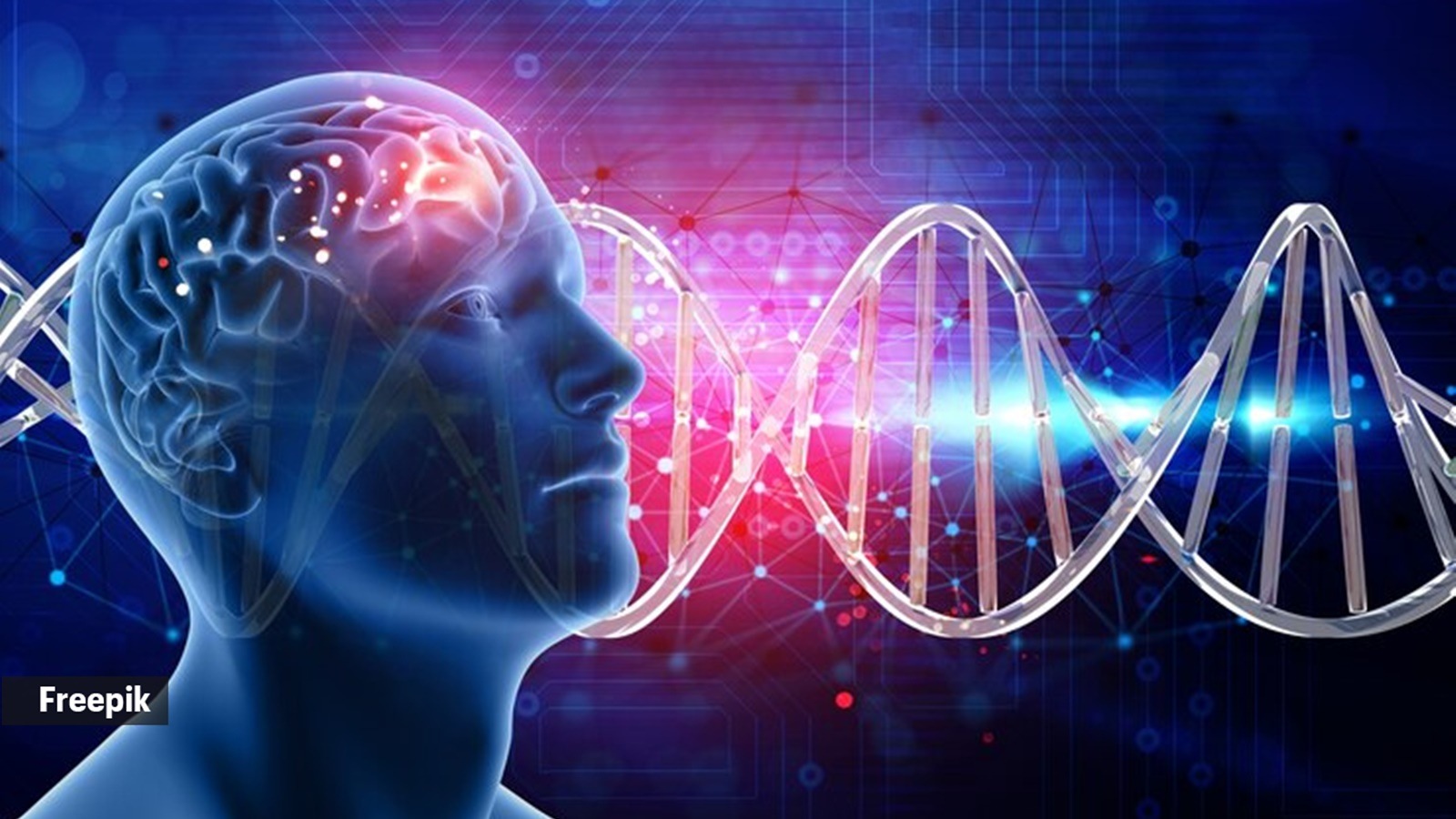 People who are good at reading have different brains