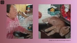 Young girl’s tearful efforts to save a freezing kitten