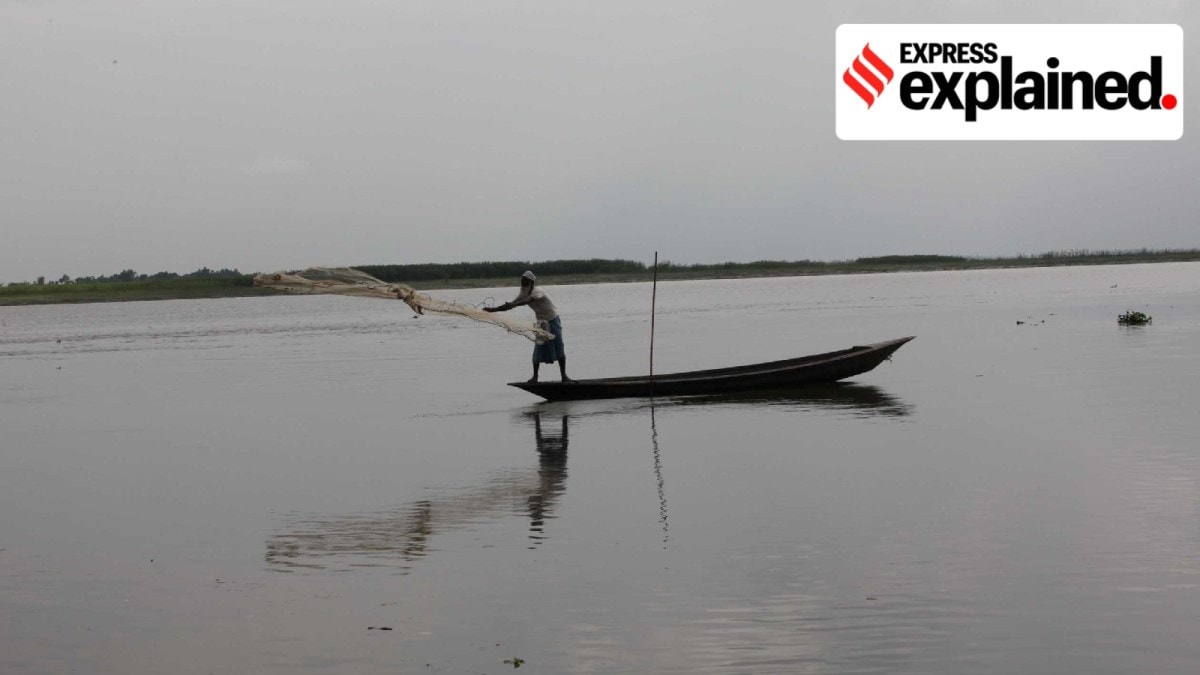 Brahmaputra Fisherman