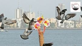 BMC’s plan to acquire additional birds had been approved by the Central Zoo Authority (CZA) last year.