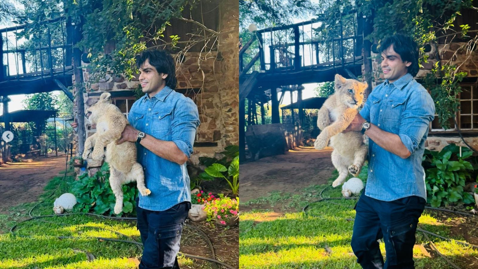 “Dhyan se bhai, isko fenkna nahi hai” – Twitter users find mirth in Neeraj Chopra social media post, posing with a lion cub