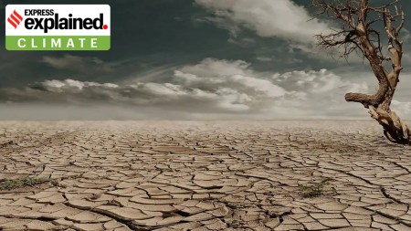 How land degradation is threatening Earth’s capacity to sustain humanity