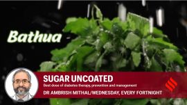 dec’24 (63) Bathua