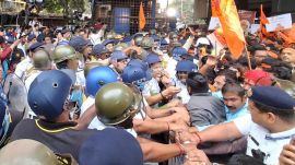 krishna das, protests