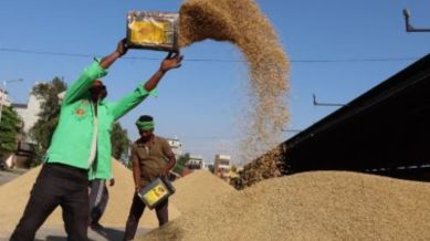 paddy, sop, bengal govt