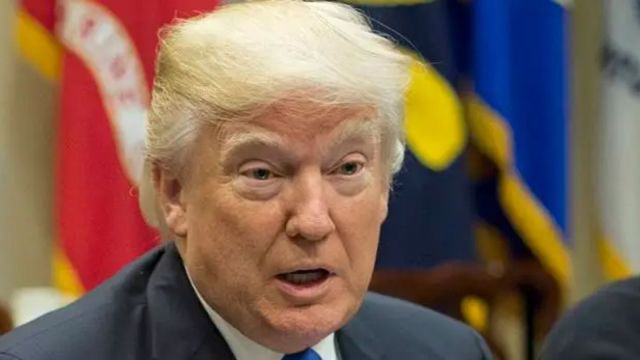 donald turmp, paris, notre dame