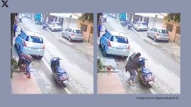 Woman caught on camera stealing flowerpot