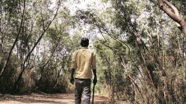 india forest cover, forest cover in india, tree cover, forest report, paris agreement goal, forest cover, indian express