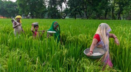 Kisan Diwas, National Farmers Day 2024: This year, the Government of India is celebrating Kisan Diwas under the idea of "Empowering ‘Annadatas’ for a Prosperous Nation."