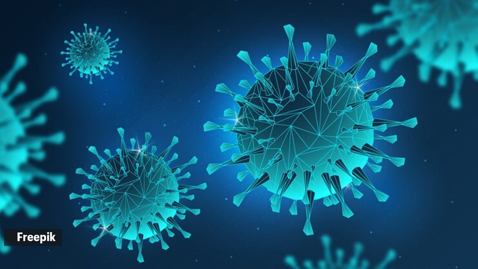 Which infectious disease is likely to be biggest emerging problem in 2025?