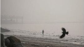 Smog envelopes the Mumbai coast. The BMC said in a statement that in the past 24 hours, Rs 52,000 has been collected as penalty from those who have been violating dust mitigation norms. (PTI Photo)