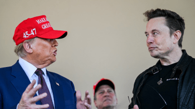 musk and trump