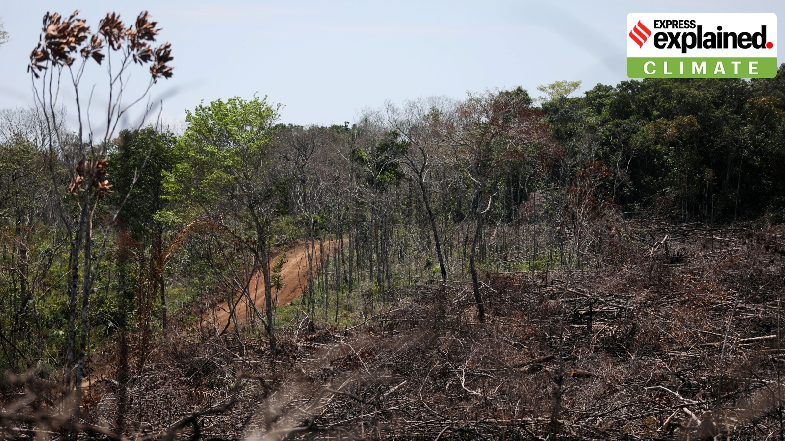 Climate change and biodiversity loss are connected: Key takeaways from NEXUS report
