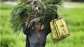 The study also found that married women were more likely to take loans for agriculture and building assets, while widows and separated women borrowed for health expenses, daily needs, or their children’s weddings.
