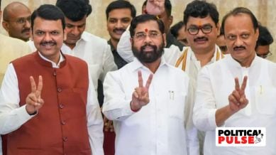 The BJP won 132 seats, Shiv Sena, 57, and NCP, 41. (File Photo)