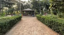 Colaba garden