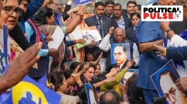 Protest against Shah over remarks against Ambedkar Parliament protest