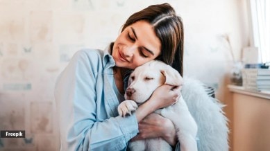 pets