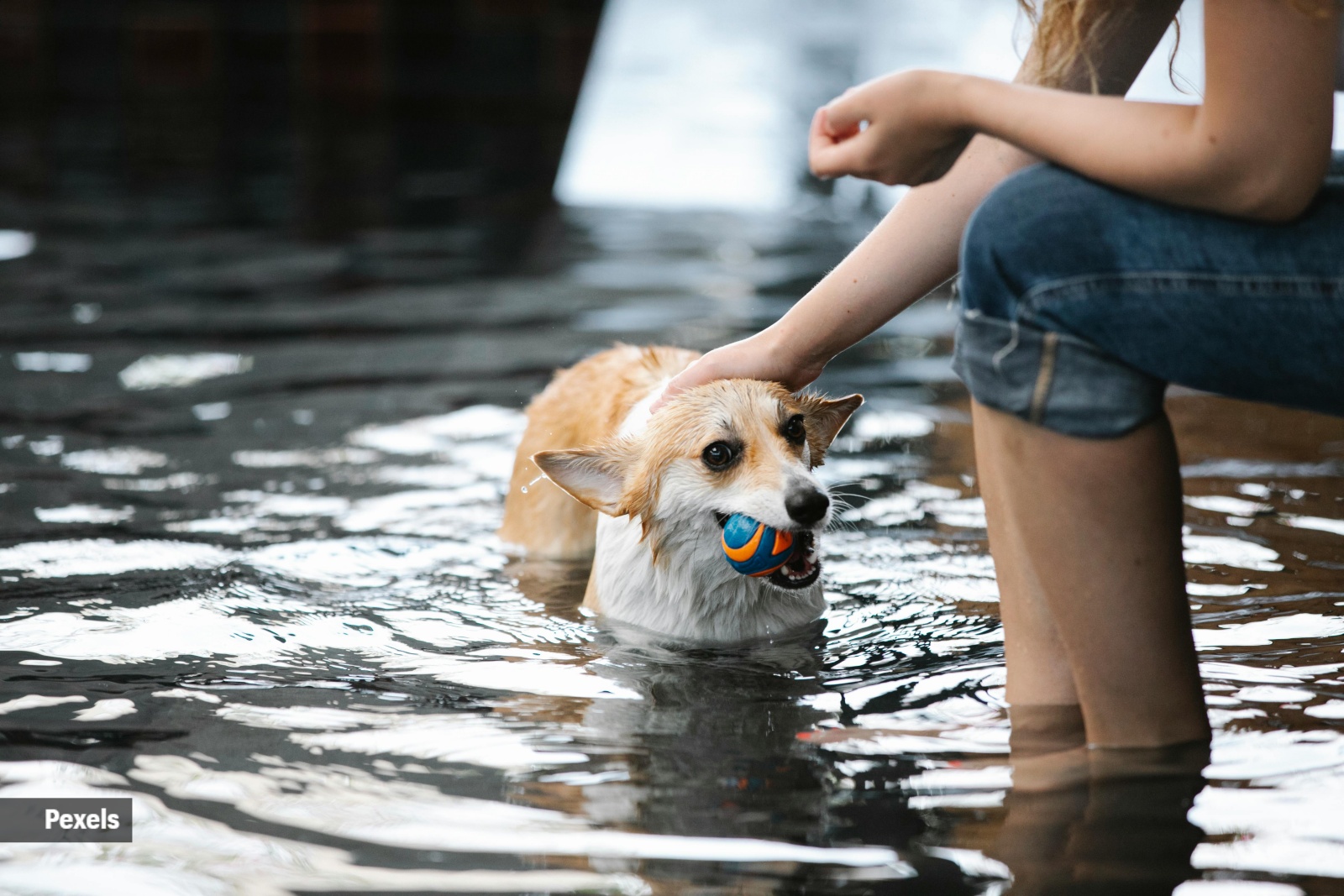 swimming