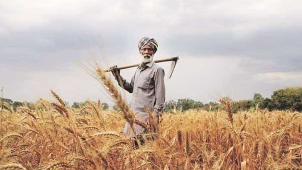Double PM-Kisan amount, implement legal guarantee of MSP: House panel  report | India News - The Indian Express