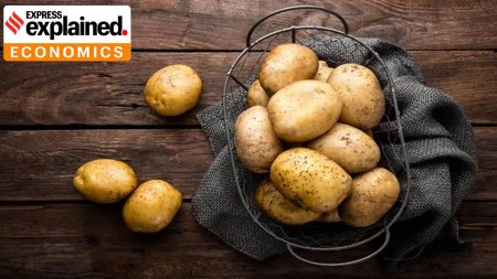 Potato prices rise, explained.