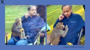 Shashi Tharoor's post on ‘extraordinary experience’ with a monkey