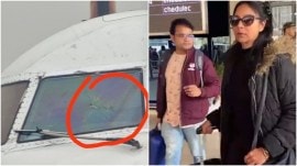 spicejet flight glitch