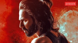 Baby John box office collection Day 6