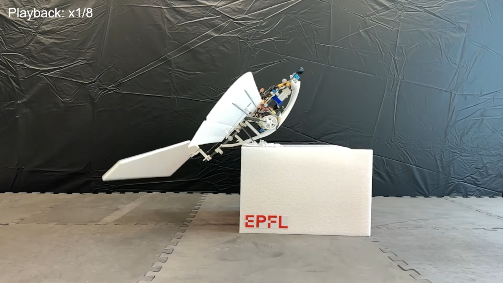 Meet RAVEN, the fixed-wing drone with mechanical bird-like legs | Technology News