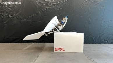 The RAVEN drone can walk and hop as well.