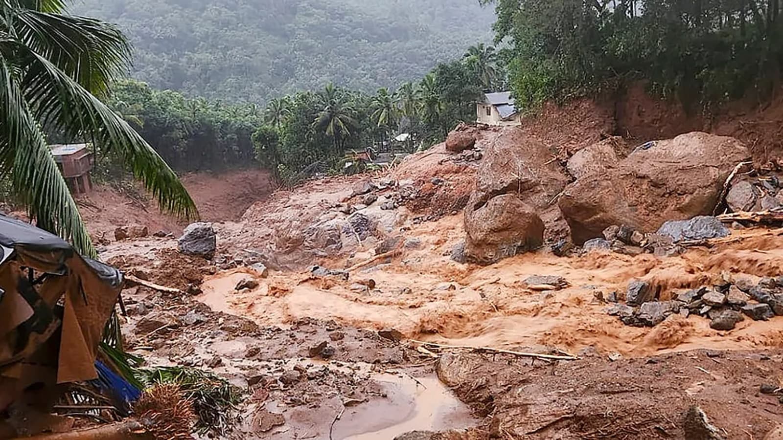 wayanad landslide