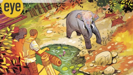 wild elephant, corbett