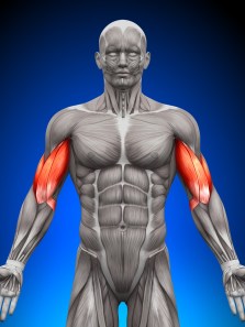 Why two eggs for breakfast aren’t enough for fat loss and muscle growth