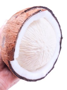 What are sprouted coconuts and how do they differ from regular coconuts