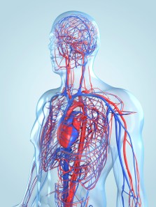 How black cardamom helps boost circulation and keep you warm