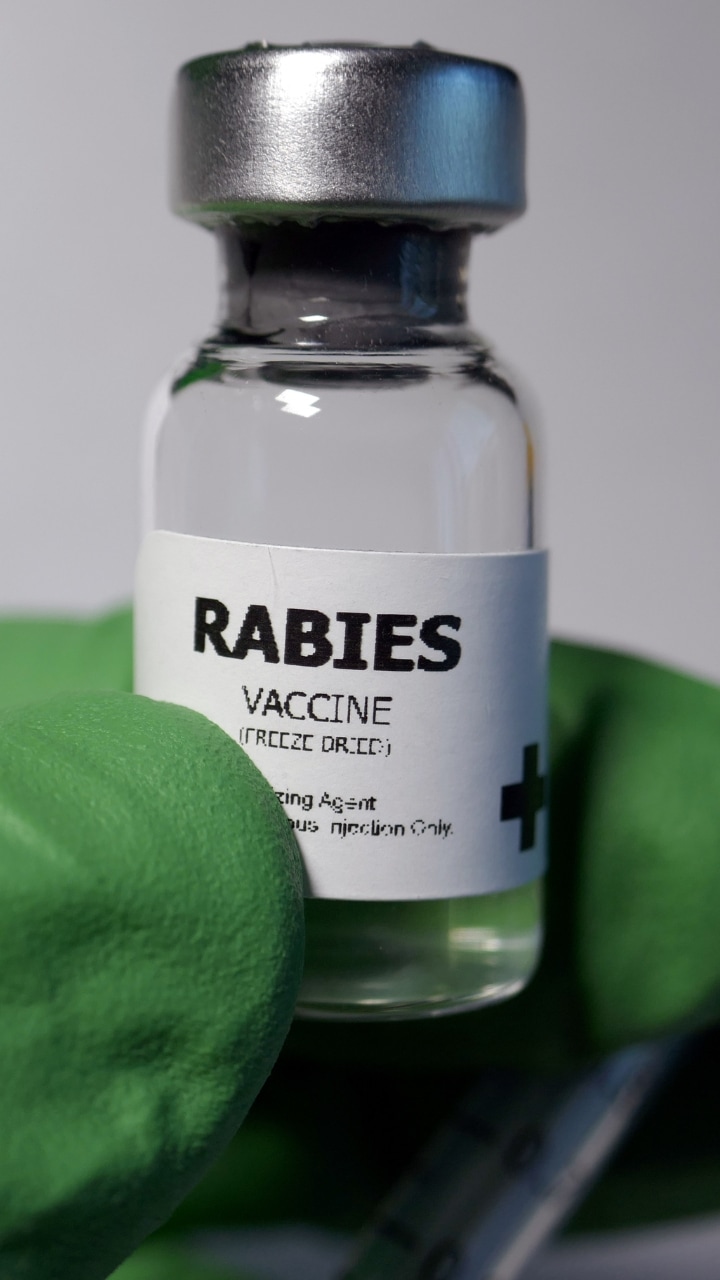 Protecting your pets and family: The importance of rabies vaccination