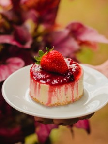 Exploring the delicious world of cheesecake: Types, history, and flavours