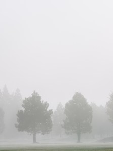 Dense fog in Delhi: Health risks and essential precautions