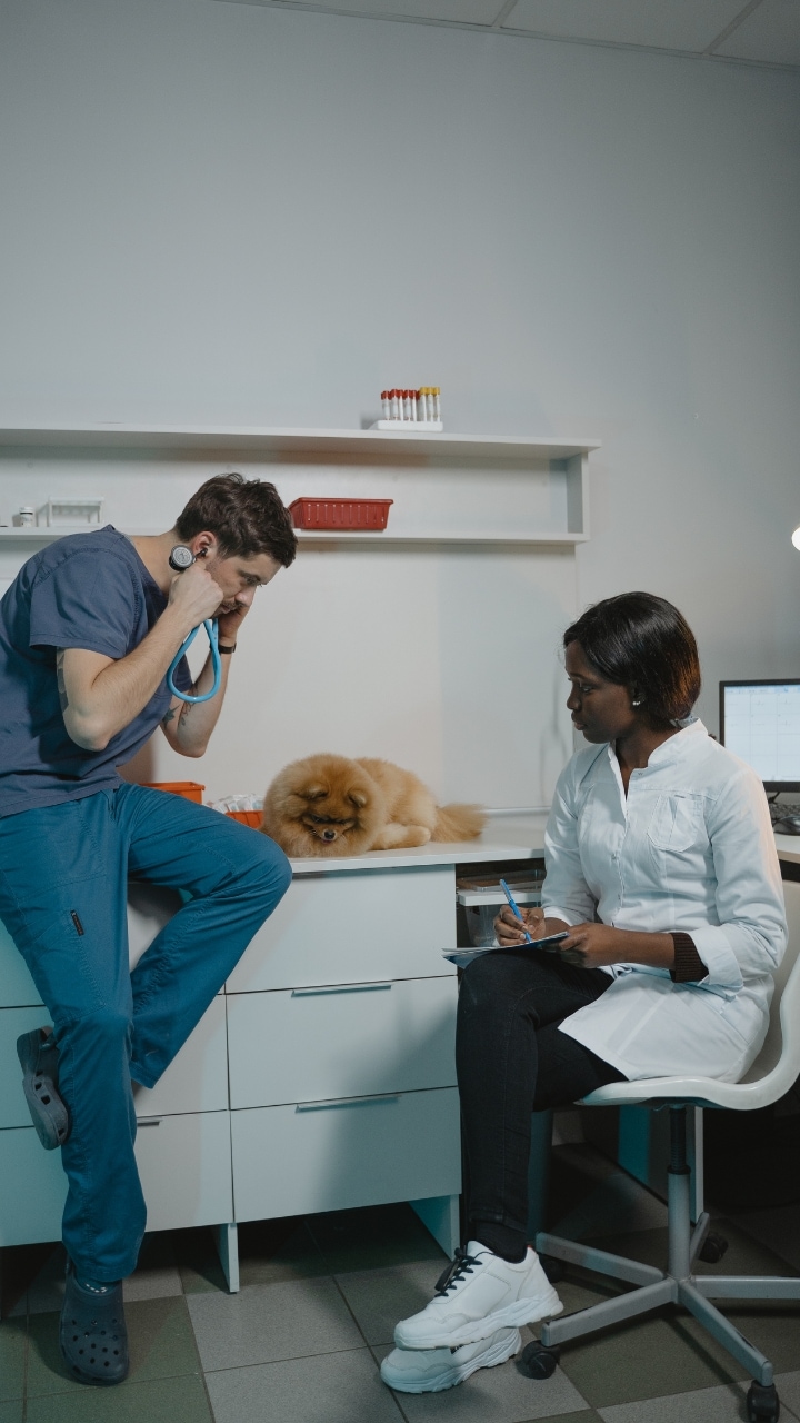 Why a fully vegetarian diet may not be suitable for dogs