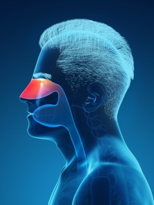 How ajwain, cloves, and garlic can clear nasal congestion