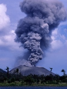 List of animals that thrives at volcanic environments