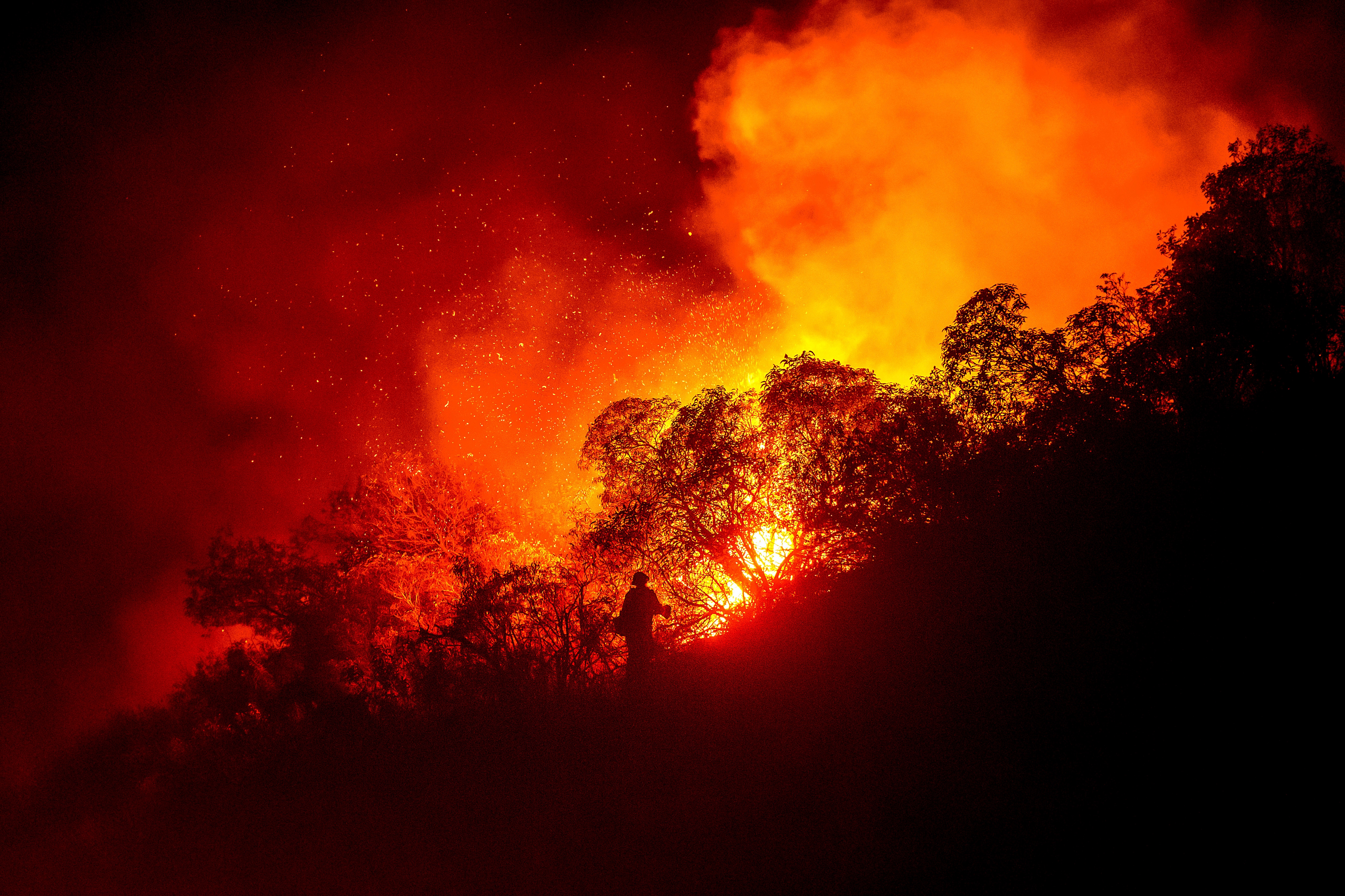 Human-induced climate change worsened Los Angeles wildfires, says study