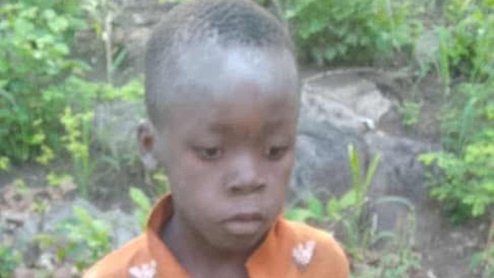 Seven-year-old boy from Zimbabwe survives 5 days in lion-infested ...