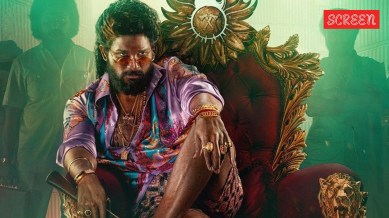 Pushpa 2 Worldwide Box Office Collection Day 49.