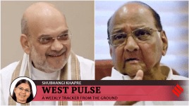 Amit Shah Sharad Pawar