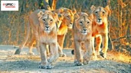 UPSC Essentials | Daily subject-wise quiz : Environment and Geography (Week 95)