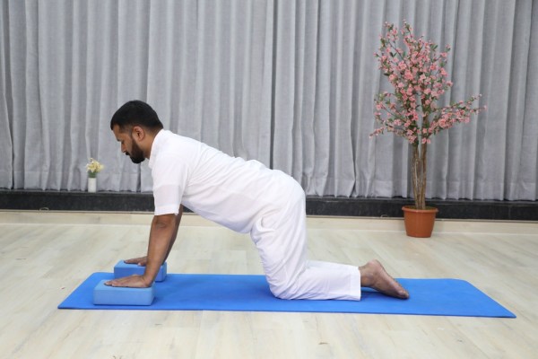 asana for reducing belly fat