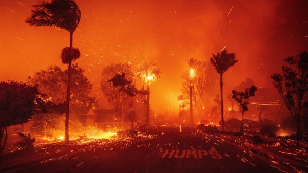 California Wildfires Los Angeles