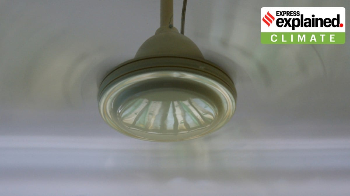 Ceiling fan energy efficiency